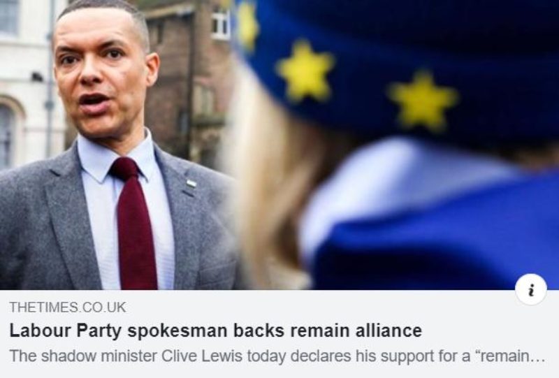 Headline: "Labour Party spokesman backs remain alliance"
