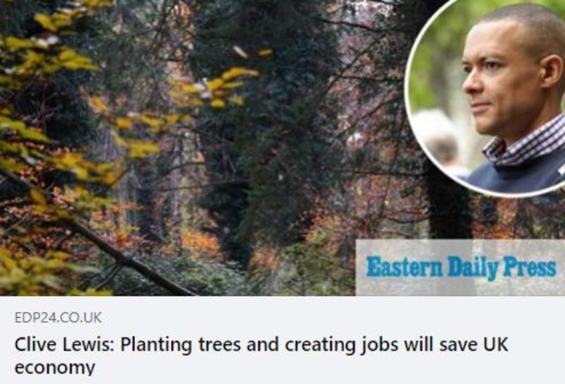 "Clive Lewis: planting trees and creating jobs will save UK economy"