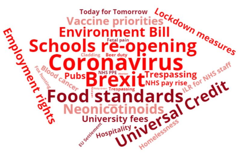 Word cloud: January casework