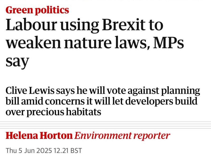 Guardian article with the headline: Labour using Brexit to weaken nature laws, MPs say